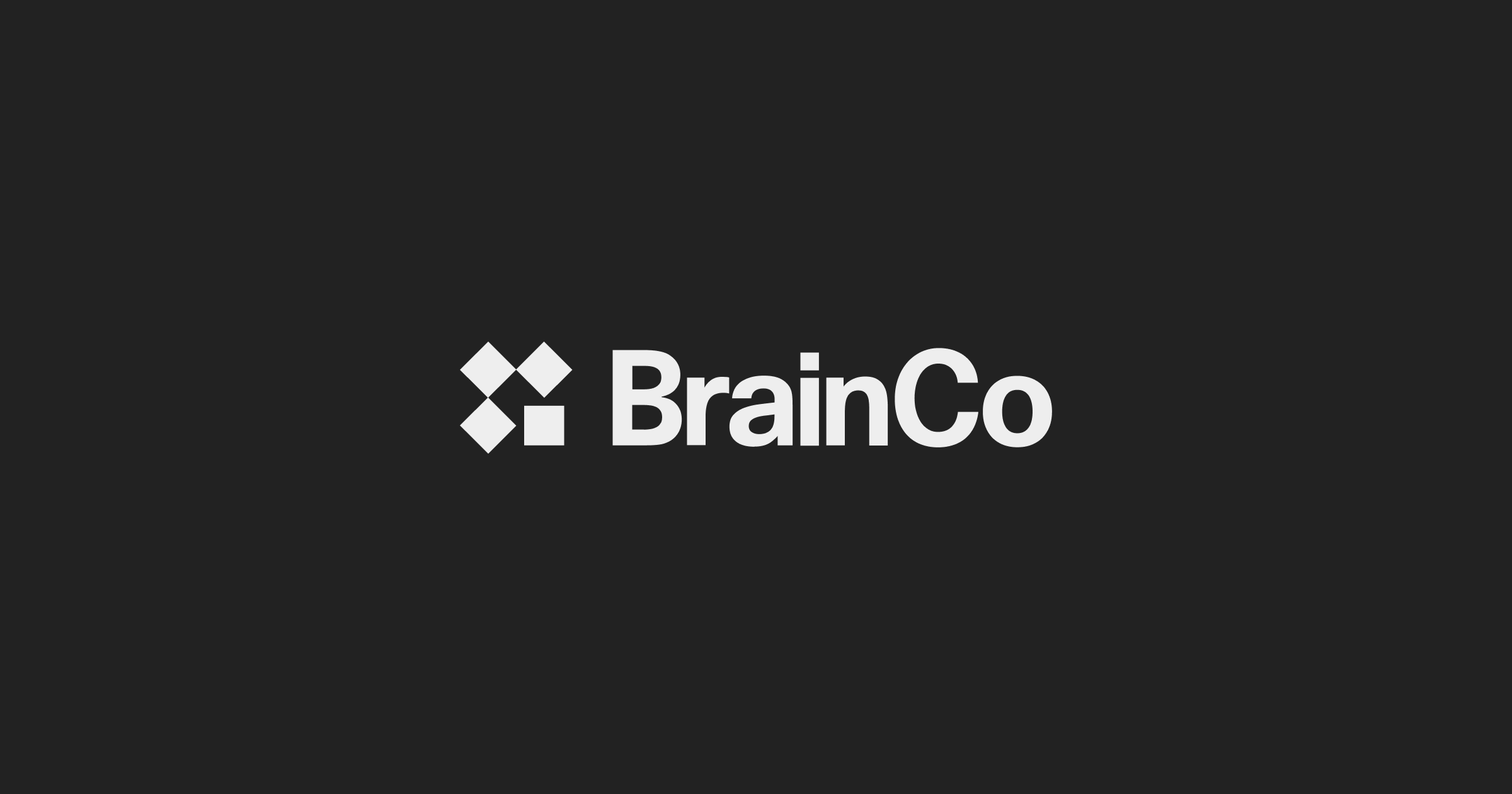 Brain Co.'s website preview